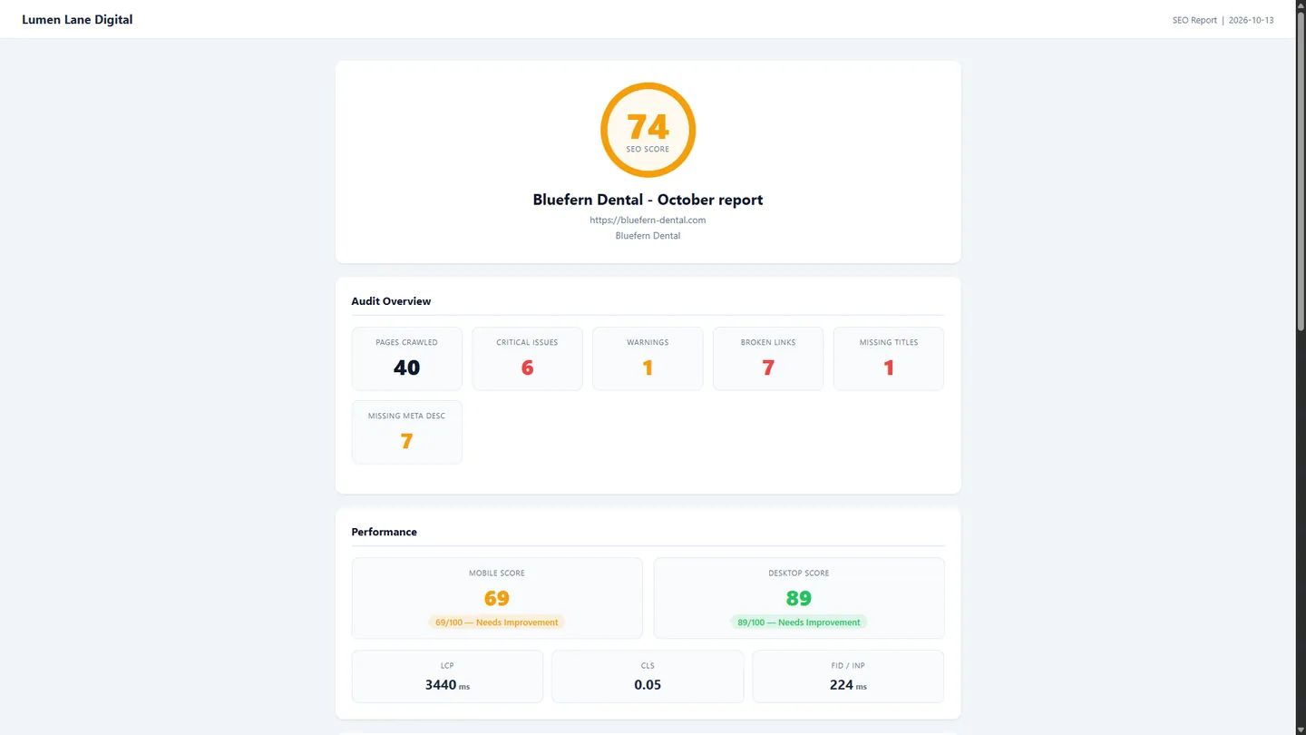 White-label client portal: the client's SEO score, audit overview and performance, under the agency's own name